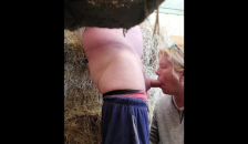 Went to Feed Horses but Ranch Hand had something else in Mind