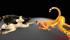 Furry Friends have an Interracial Orgy in Wild Life Sex