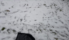 Making Yellow Snow / Pissing in the Snow