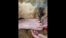 Feet Massage