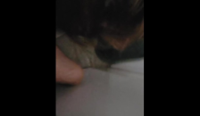 Blow Job from a Stranger