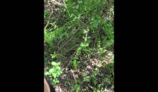 Kantutan SA Park Nahuli SA Akto.. Pinay Bitin Na Bitin.. new Viral